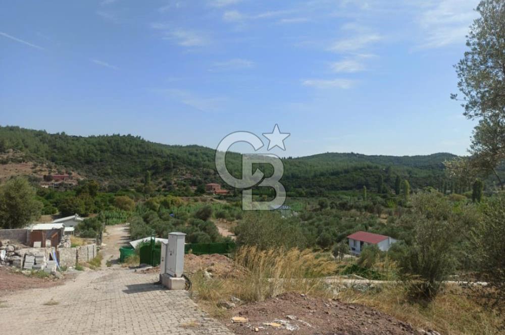 Kavakdere'de Asfalt Yol Kenarında Satılık Arsa