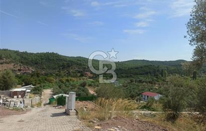 Kavakdere'de Asfalt Yol Kenarında Satılık Arsa