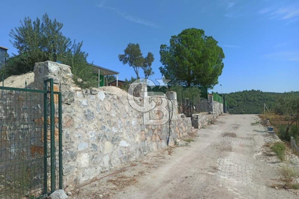Kavakdere'de Asfalt Yol Kenarında Satılık Arsa