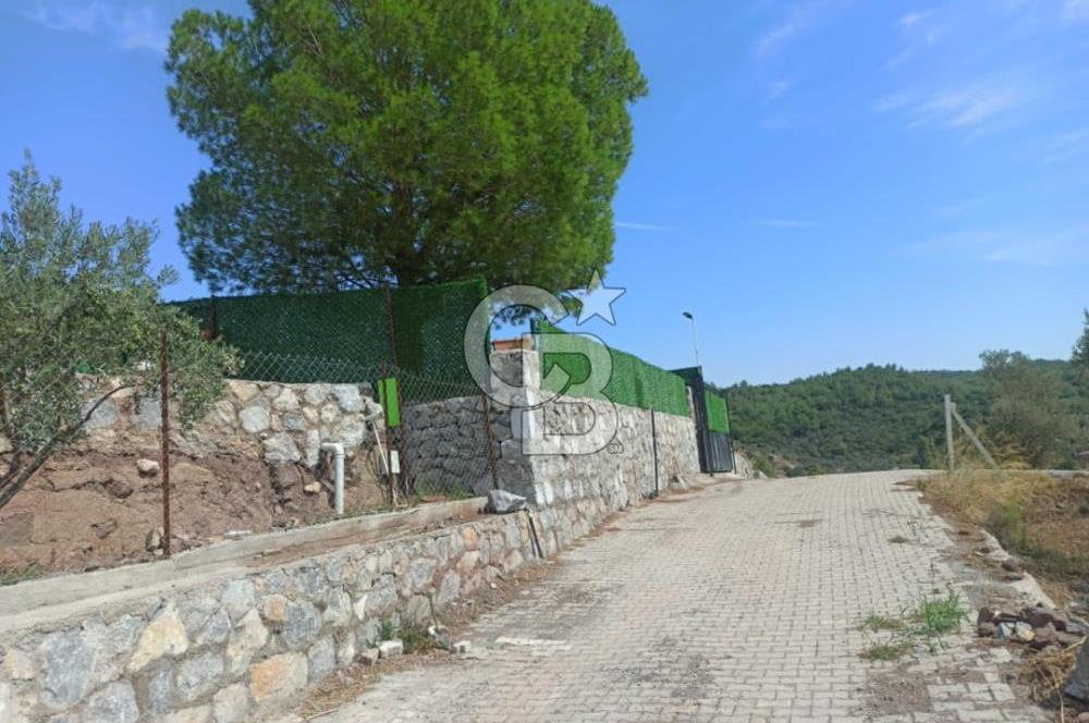 Kavakdere'de Asfalt Yol Kenarında Satılık Arsa