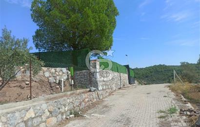 Kavakdere'de Asfalt Yol Kenarında Satılık Arsa