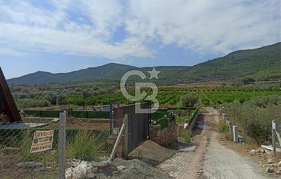 Kavakdere'de Asfalt Yol Kenarında Satılık Arsa