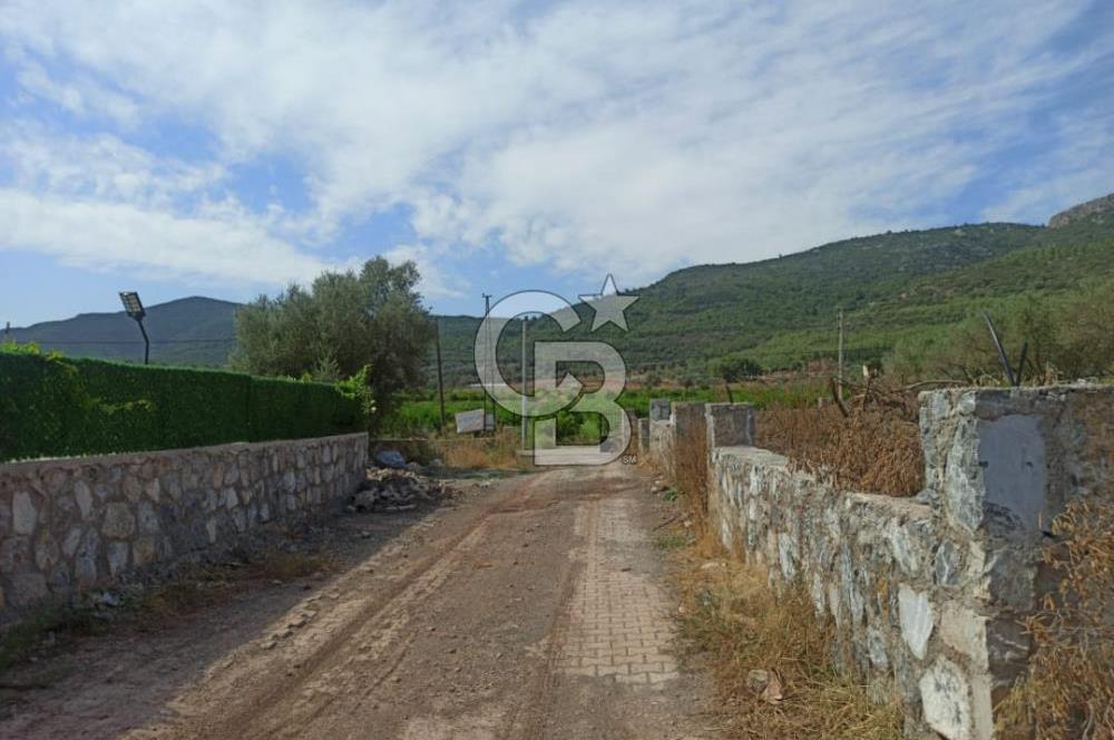 Kavakdere'de Asfalt Yol Kenarında Satılık Arsa