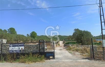 Kavakdere'de Asfalt Yol Kenarında Satılık Arsa