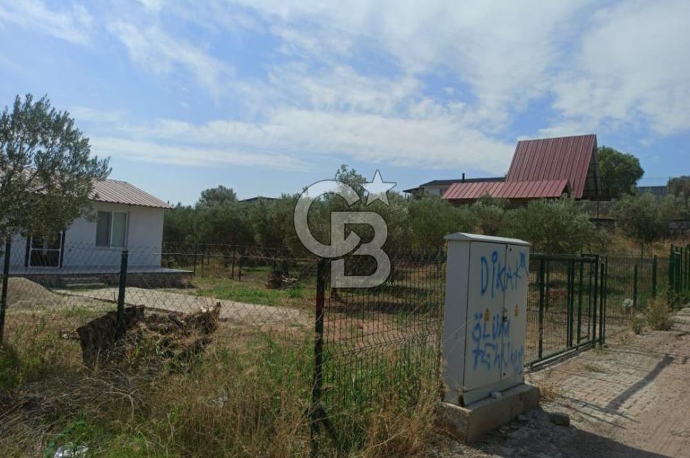 Kavakdere'de Asfalt Yol Kenarında Satılık Arsa