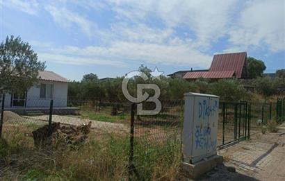 Kavakdere'de Asfalt Yol Kenarında Satılık Arsa