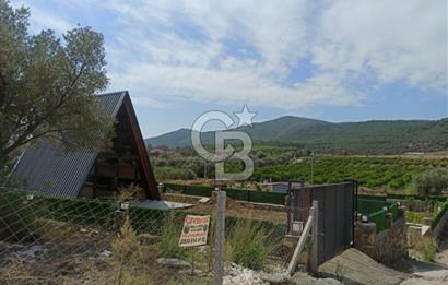 Kavakdere'de Asfalt Yol Kenarında Satılık Arsa