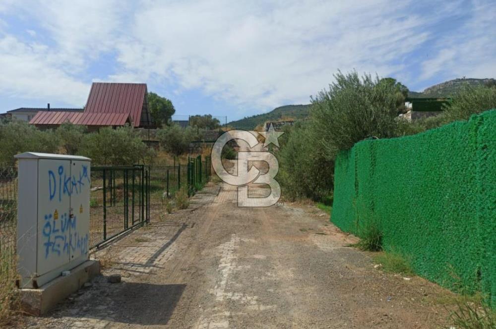 Kavakdere'de Asfalt Yol Kenarında Satılık Arsa