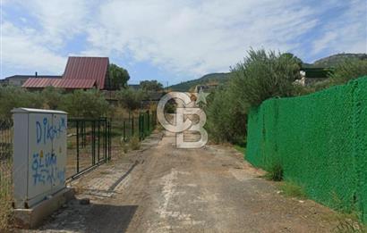 Kavakdere'de Asfalt Yol Kenarında Satılık Arsa