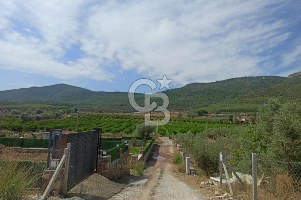 Kavakdere'de Asfalt Yol Kenarında Satılık Arsa