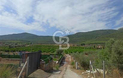 Kavakdere'de Asfalt Yol Kenarında Satılık Arsa