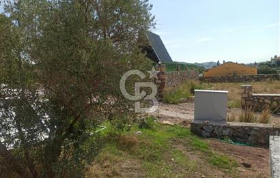 Kavakdere'de Asfalt Yol Kenarında Satılık Arsa
