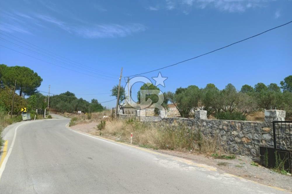 Kavakdere'de Asfalt Yol Kenarında Satılık Arsa