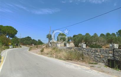 Kavakdere'de Asfalt Yol Kenarında Satılık Arsa
