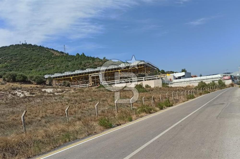 Kavakdere'de Asfalt Yol Kenarında Satılık Arsa