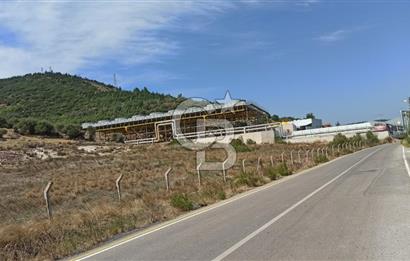Kavakdere'de Asfalt Yol Kenarında Satılık Arsa