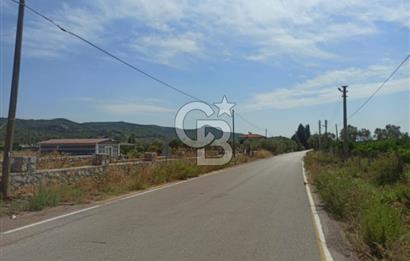 Kavakdere'de Asfalt Yol Kenarında Satılık Arsa