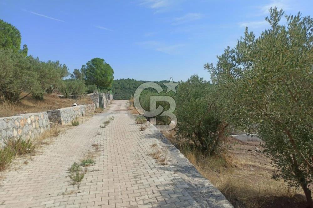 Kavakdere'de Asfalt Yol Kenarında Satılık Arsa