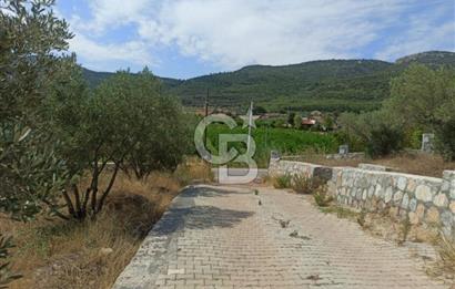 Kavakdere'de Asfalt Yol Kenarında Satılık Arsa