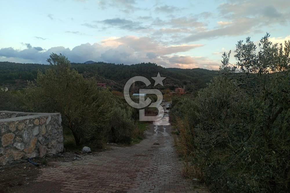 Kavakdere'de Asfalt Yol Kenarında Satılık Arsa