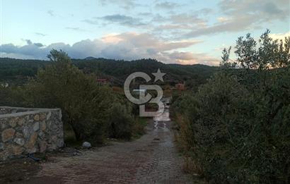Kavakdere'de Asfalt Yol Kenarında Satılık Arsa
