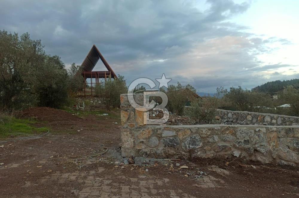 Kavakdere'de Asfalt Yol Kenarında Satılık Arsa