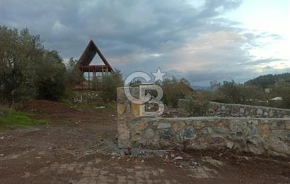 Kavakdere'de Asfalt Yol Kenarında Satılık Arsa