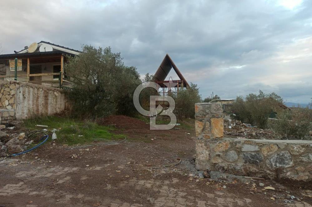 Kavakdere'de Asfalt Yol Kenarında Satılık Arsa