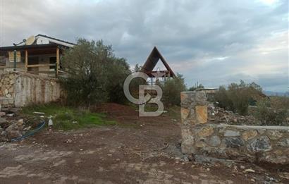 Kavakdere'de Asfalt Yol Kenarında Satılık Arsa