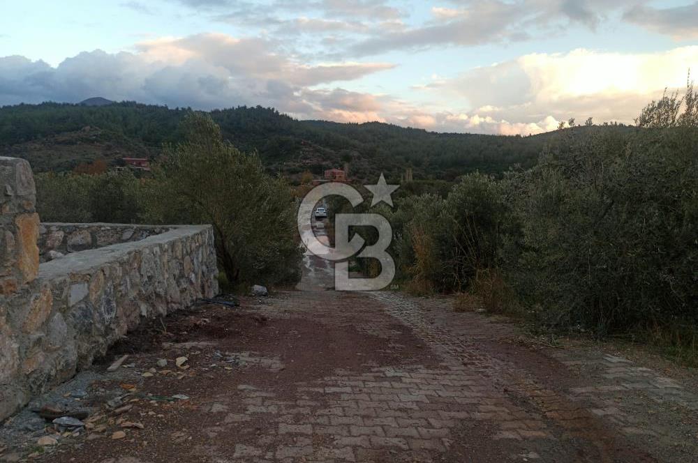 Kavakdere'de Asfalt Yol Kenarında Satılık Arsa