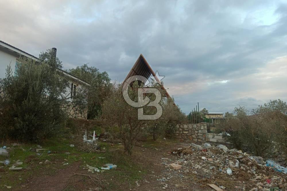 Kavakdere'de Asfalt Yol Kenarında Satılık Arsa