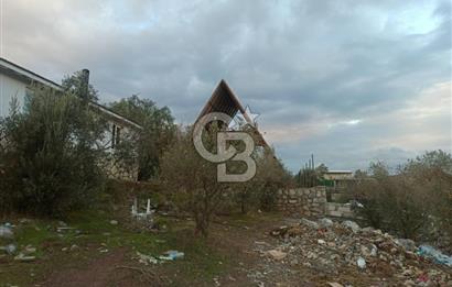 Kavakdere'de Asfalt Yol Kenarında Satılık Arsa