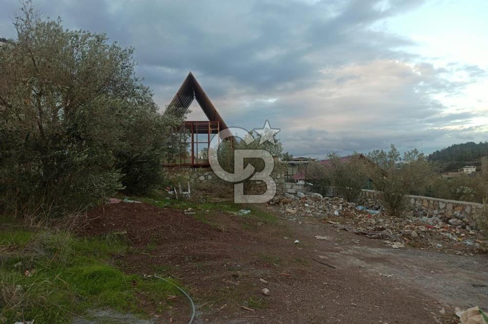 Kavakdere'de Asfalt Yol Kenarında Satılık Arsa