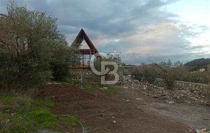 Kavakdere'de Asfalt Yol Kenarında Satılık Arsa