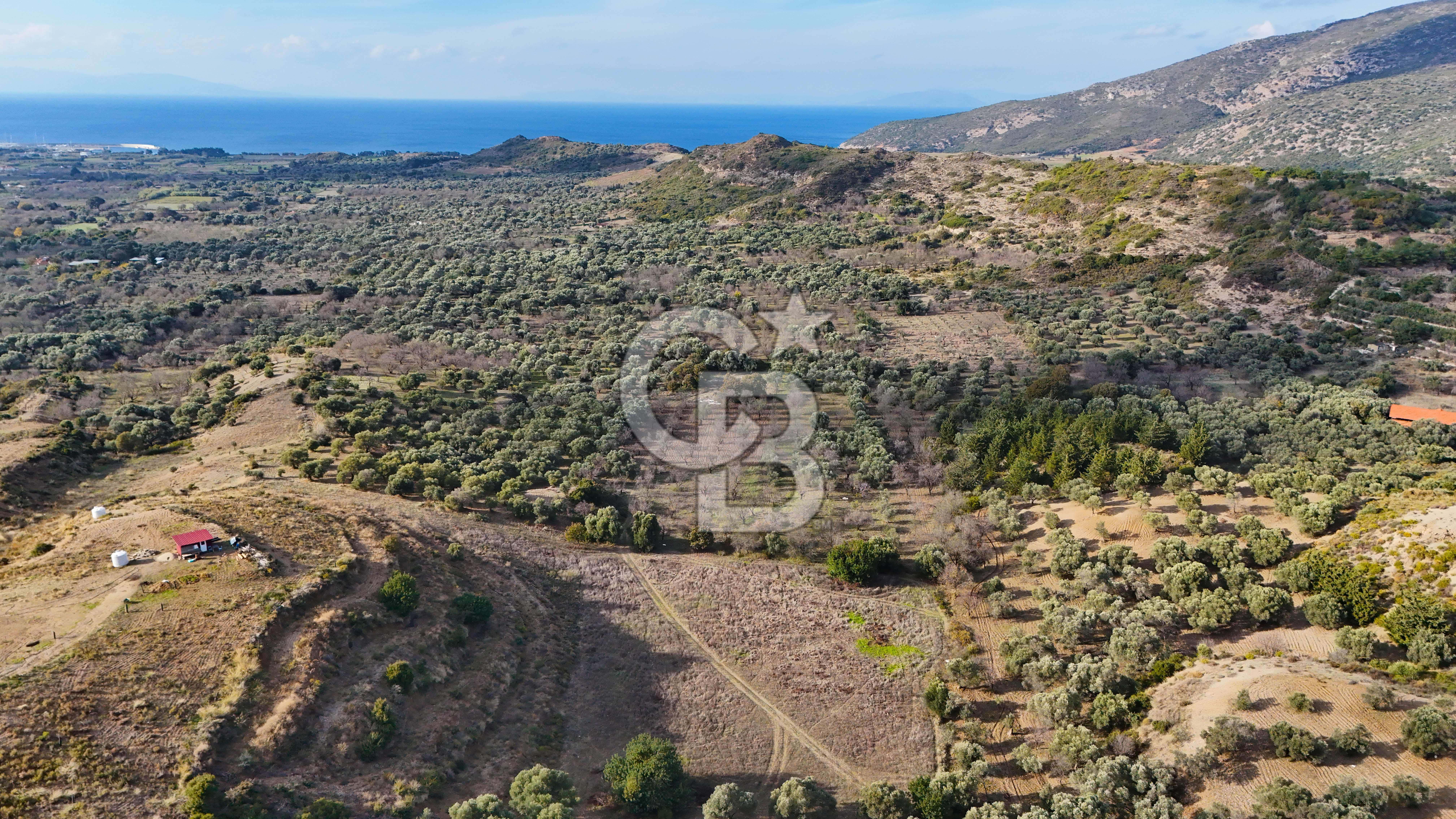 DATÇA KARAKÖYDE SAKİN DOĞA İÇİNDE TARLA