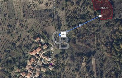 BİLECİK GÖLPAZARI HACIKÖYDE KÖY İÇİNE 131 M SATILIK FIRSAT TARLA