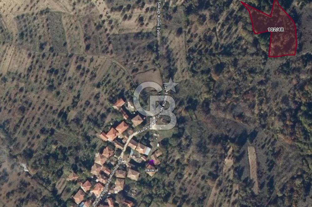 BİLECİK GÖLPAZARI HACIKÖYDE KÖY İÇİNE 131 M SATILIK FIRSAT TARLA