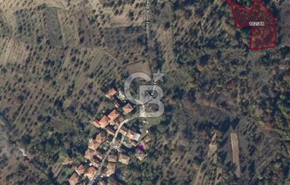 BİLECİK GÖLPAZARI HACIKÖYDE KÖY İÇİNE 131 M SATILIK FIRSAT TARLA