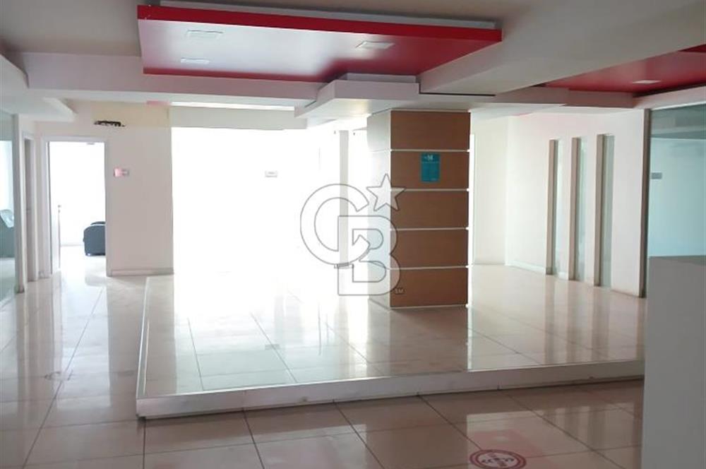 Çayırova Fatih Cadde'sinde kat kat veya komple kiralık  işyeri
