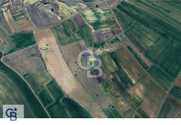 Denizli Tavas Sarıabat ta Satılık Tarla