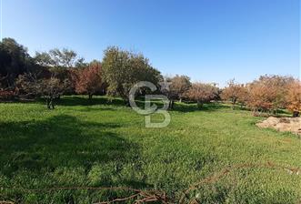 ÇEŞME MAMURBABA SATILK VİLLA İMARLI ARSA