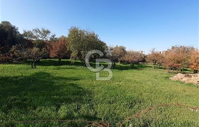 BUCA'da CADDE ÜZERİN'de SATILIK ARSA