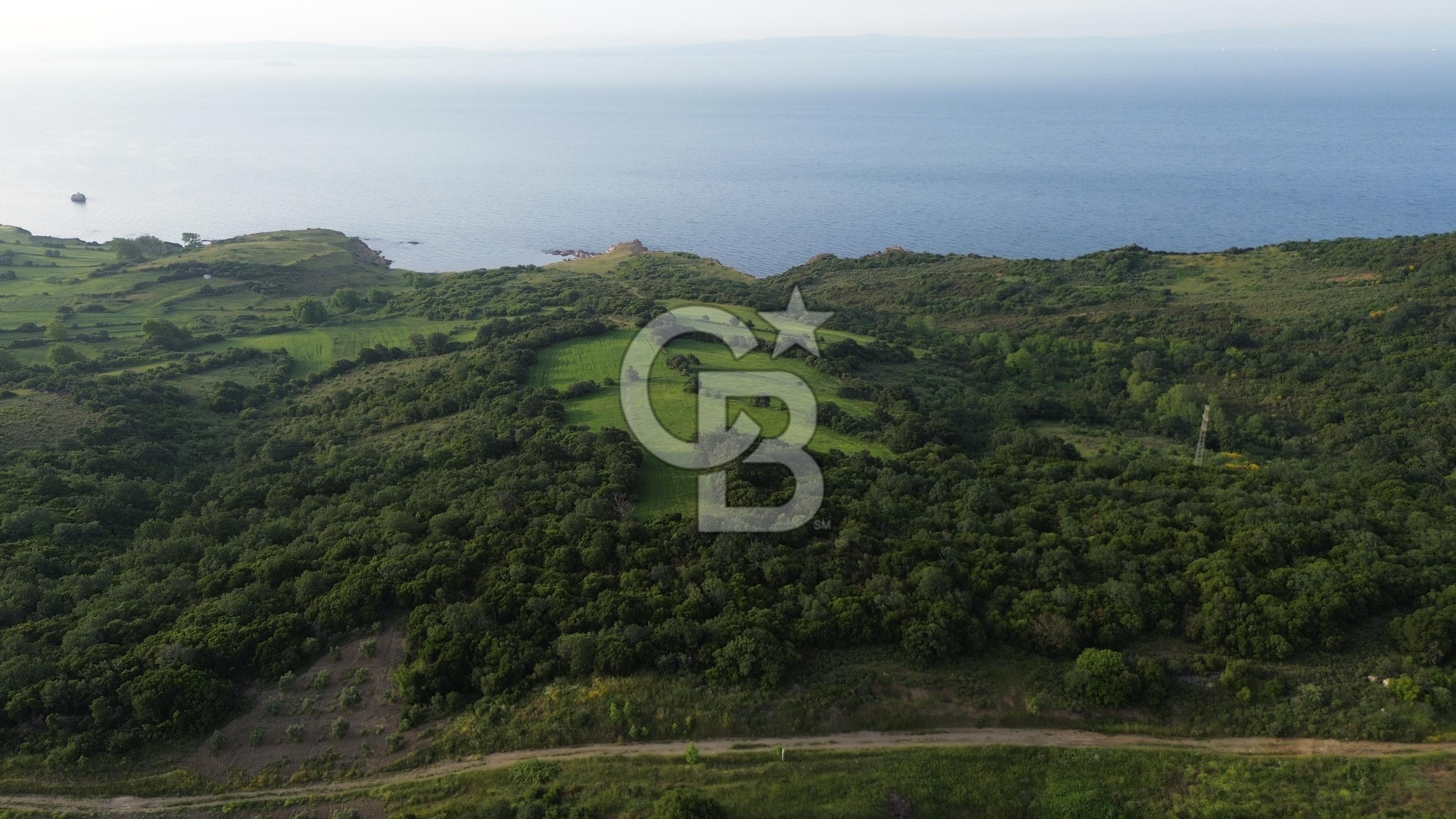 LAPSEKİ GÜRECİDE DENİZE VE YOLA YAKIN TARLA