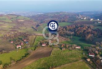 SAMSUN 19 MAYIS İLÇESİNDE SATILIK FIRSAT TARLA