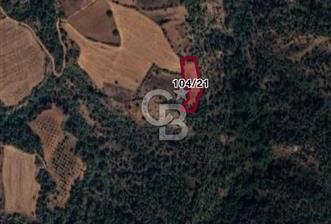 SAKARYA TARAKLI'DA VERIMLI 3387 M2 SATILIK ARSA