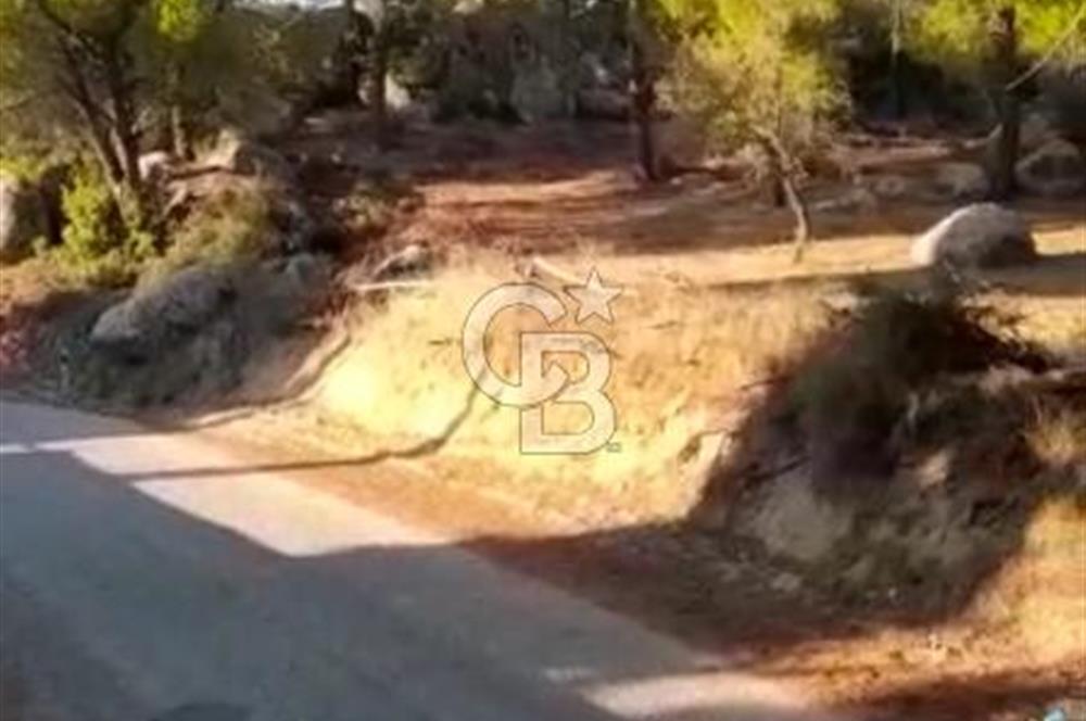 BERGAMA HİSAR KÖYÜ FISTIK'LIK ARAZİ YATIRIMLIK MİRAS PAYLAŞIMI