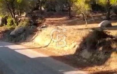 BERGAMA HİSAR KÖYÜ FISTIK'LIK ARAZİ YATIRIMLIK MİRAS PAYLAŞIMI