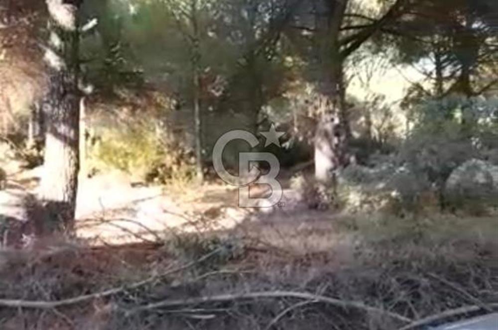BERGAMA HİSAR KÖYÜ FISTIK'LIK ARAZİ YATIRIMLIK MİRAS PAYLAŞIMI
