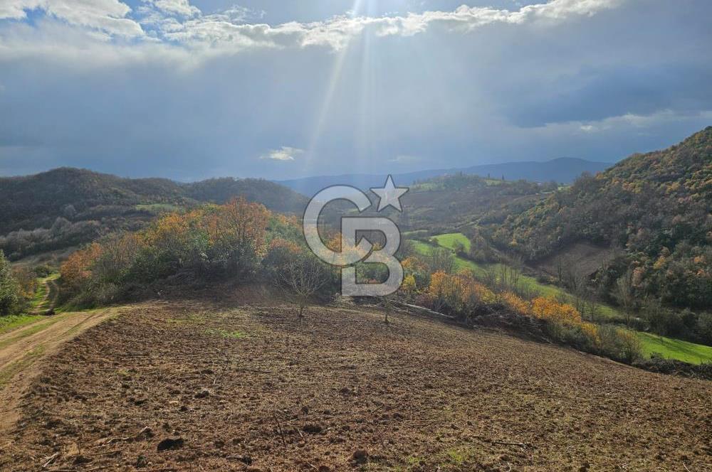 YALOVA ÇİFTLKKÖY DENİZÇALI KÖYÜNDE SATILIK 5239 M2 TARLA !