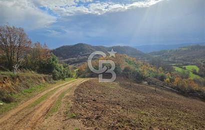 YALOVA ÇİFTLKKÖY DENİZÇALI KÖYÜNDE SATILIK 5239 M2 TARLA !